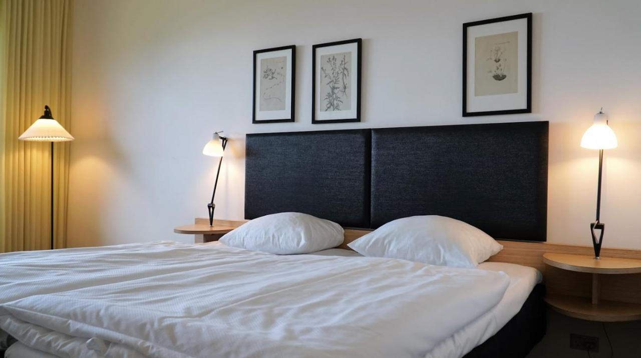 Single Room,1217029696:JPEG