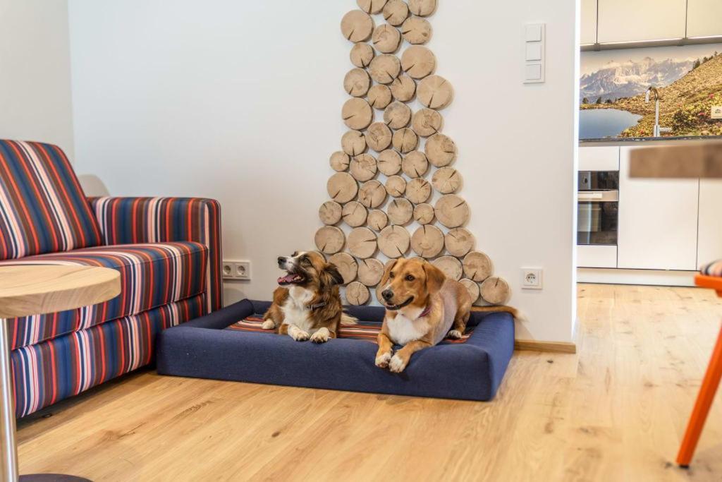 Standard Apartment,1698896667:JPEG