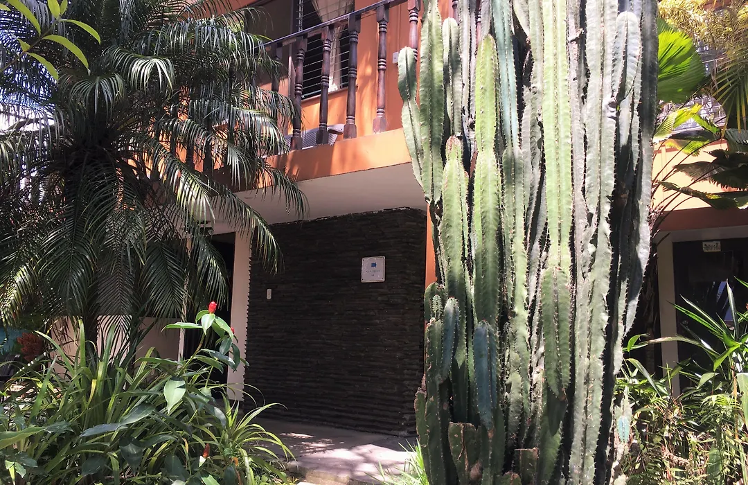 Costa Rica Guesthouse-1