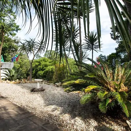 South Villa Guesthouse&Garden-2