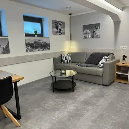 Vila Emona - Central Apartments - Free Parking-2