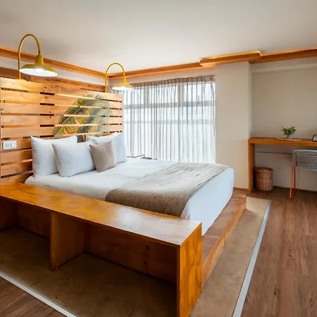 Mayan Monkey Cancun - Social Hostel (Adults Only)-3