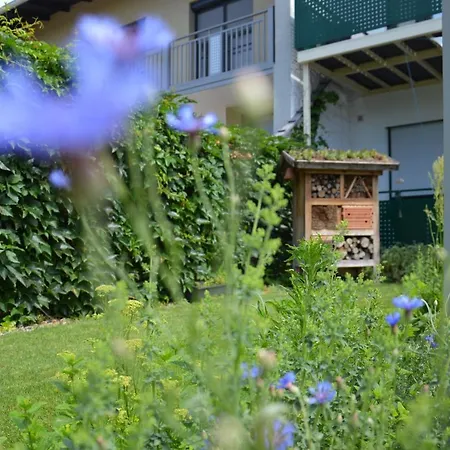 Gästehaus Schmidt-2