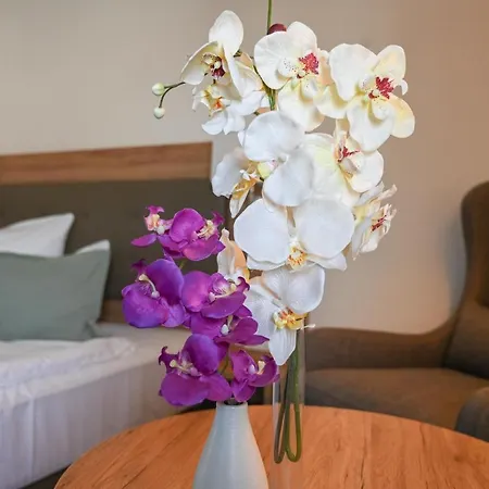 Novo Premium Hotel By As-3