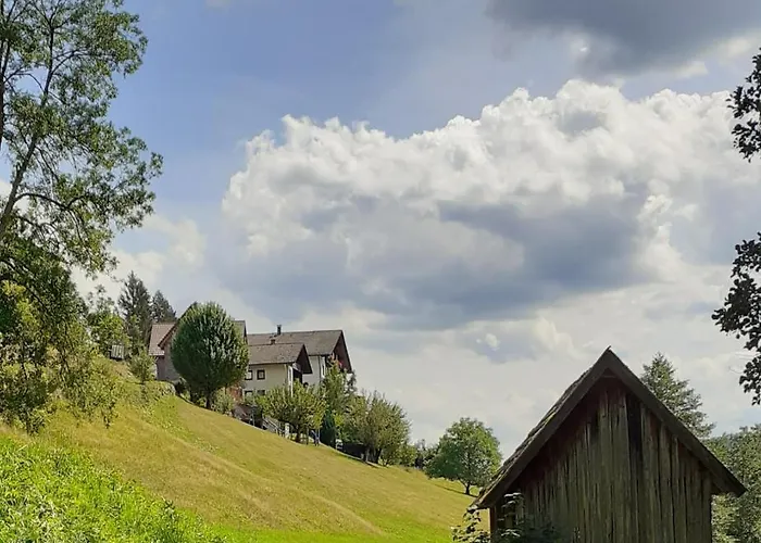 Hotel nahe College: Ferienwohnung Tonbachtal