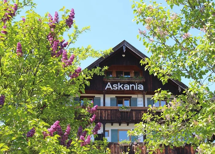 3-Sterne-Hotel: Hotel Askania 1927