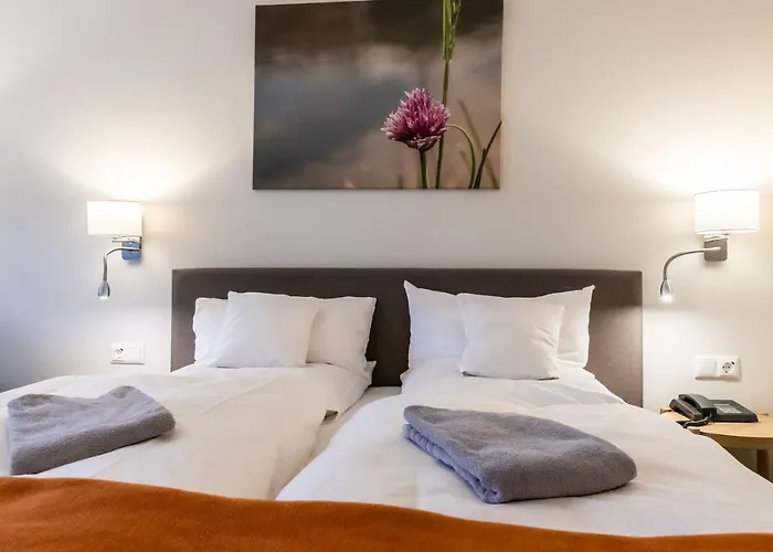 Hotel mit Hund Vital Ascona