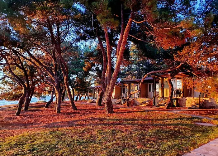Family Bungalow Pineta
