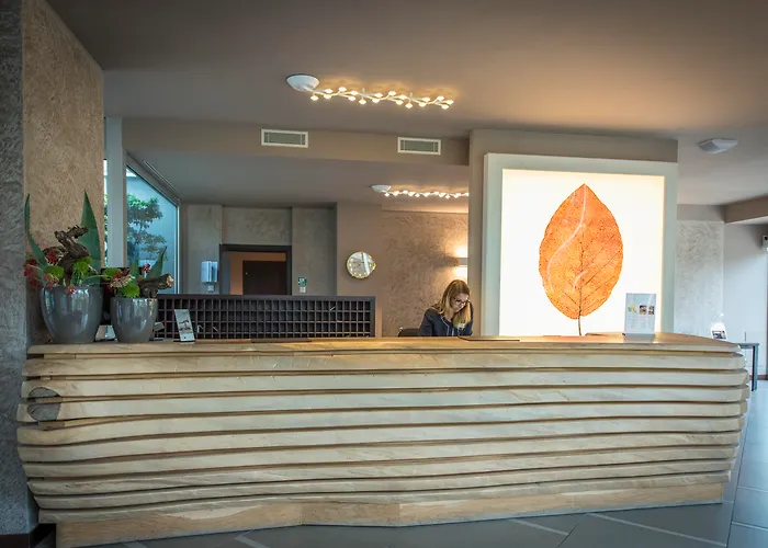 Aqualux Hotel Spa Suite & Terme