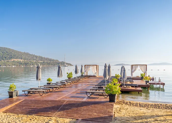 Moyo Luxury & Beach