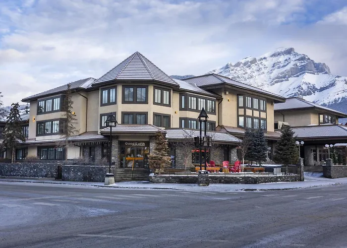 Haustierfreundliches Hotel: Elk + Avenue Hotel