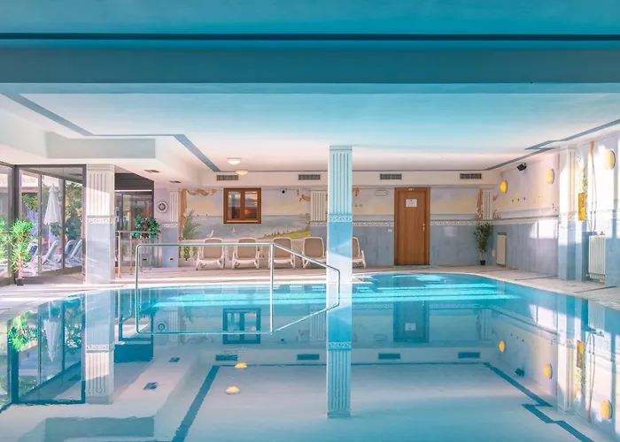 Haustierfreundliches Hotel: Hotel Sogno Del Benaco