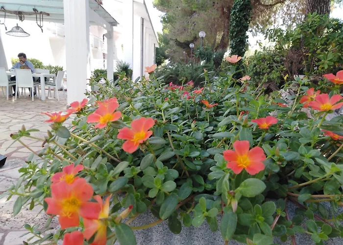 Hotel mit Pool: Raggio Di Sole