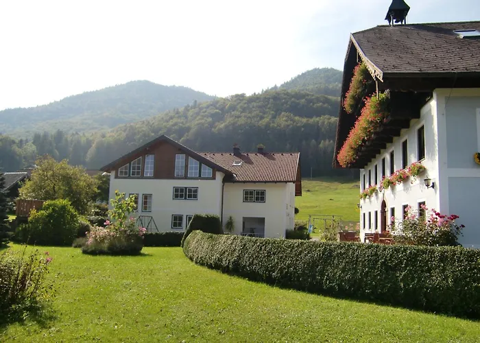 Hohenau