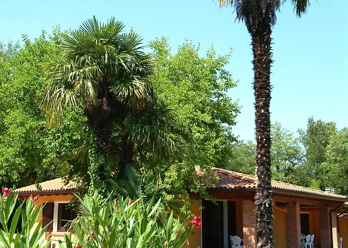 Ping Pong Hotel: Camping Zocco
