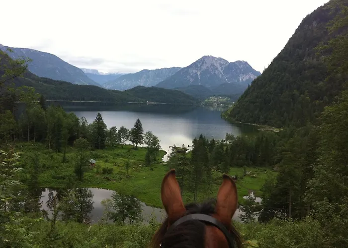 Hotel: Reitbauernhof Schartner