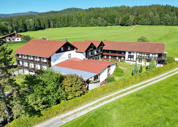 Familienhotel: Hotel Waldblick