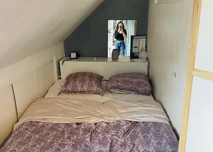 Haustierfreundliches Hotel: Studio Parisien