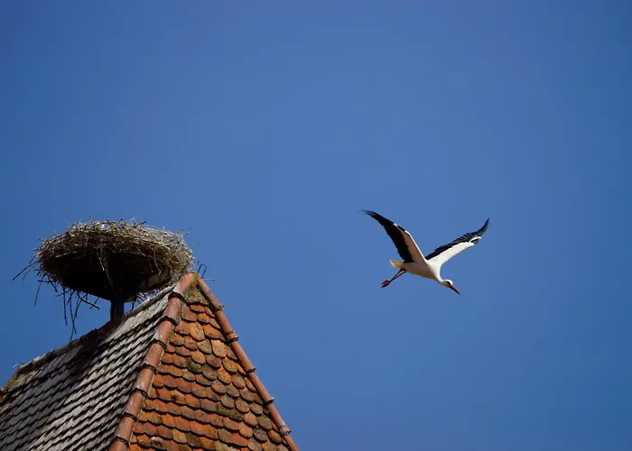 Gästehaus Alter Keller