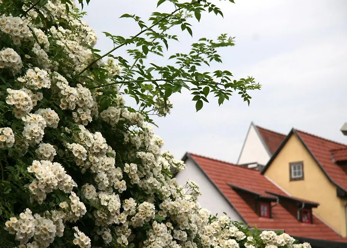 Günstiges Hotel: Pension Am Dom