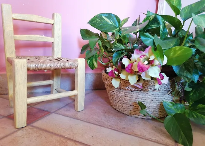 Haustierfreundliches Hotel: Porto Romano Guest House