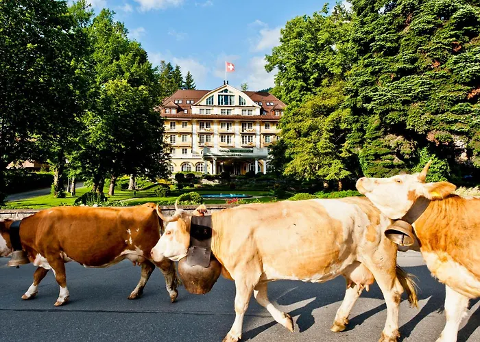 Hotel Am Le Grand Bellevue