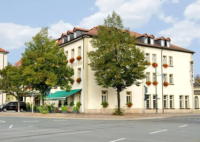 Schwarzer Bär