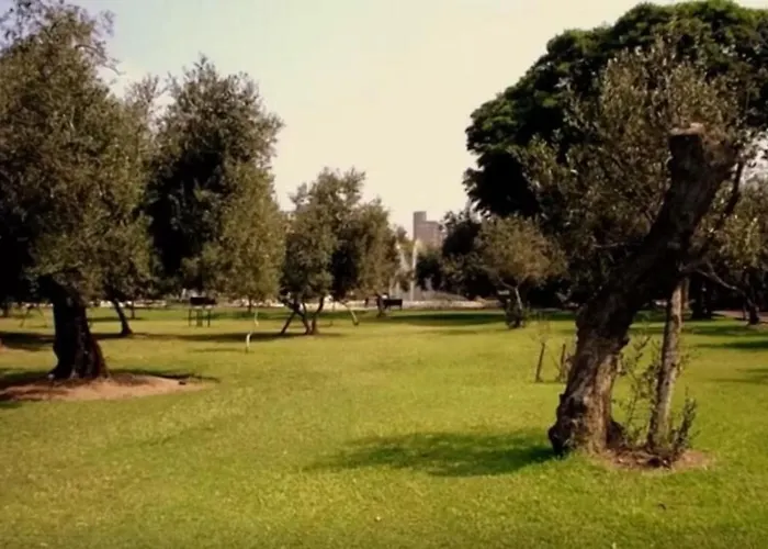 B&B El Olivar