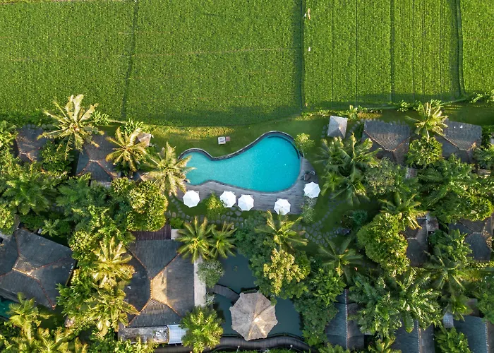 Arya s Ubud