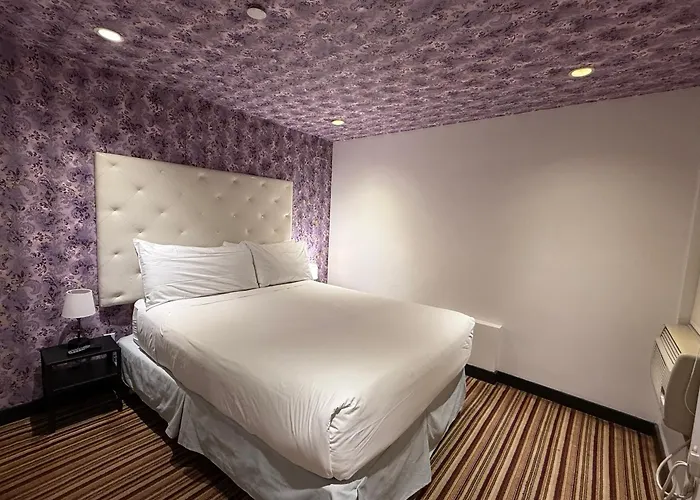 3-Sterne-Hotel: Night Hotel Broadway