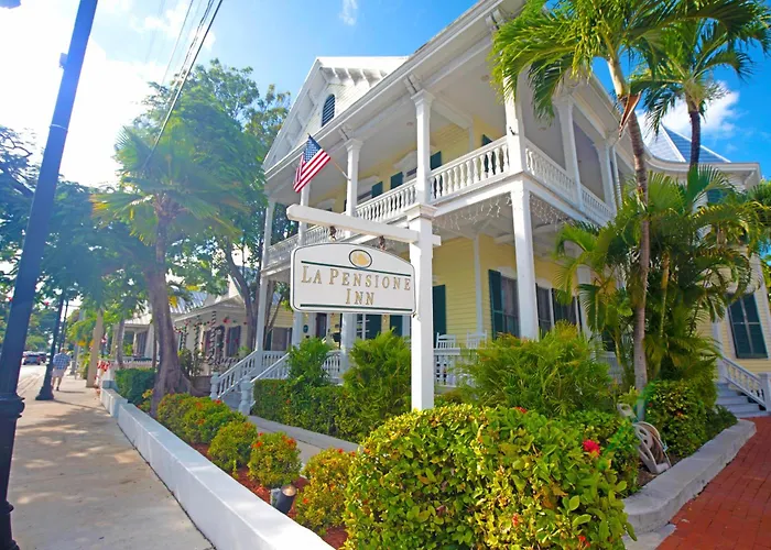 Silver Palms