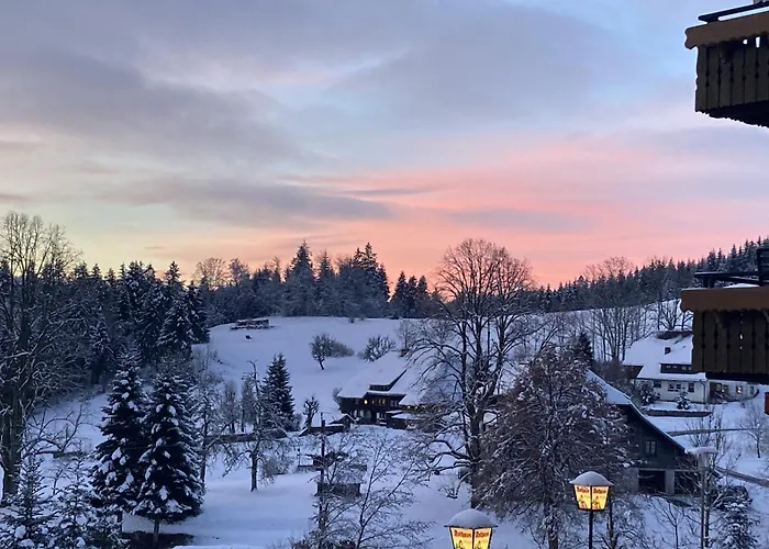 Haustierfreundliches Hotel: Boutique Hotel & Aparmtents Pension Sternen