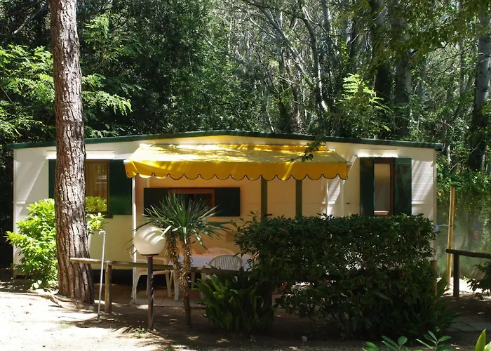 Holiday Center Valdor