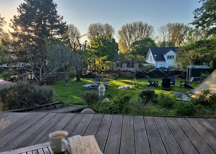Schönste Lage Am Rhein In Unmittelbarer Stadtnähe