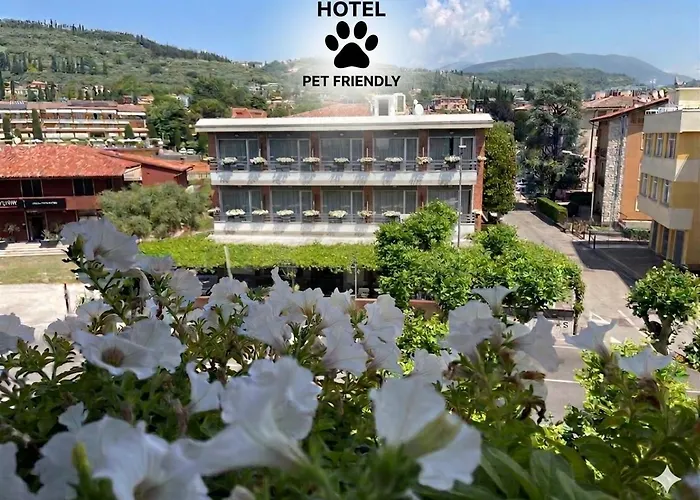 Hotel Am Benaco Garda ***S