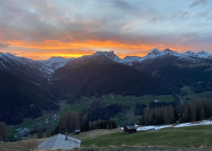 Shima-Davos