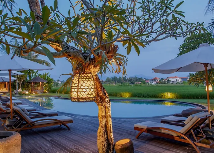 Arya s Ubud