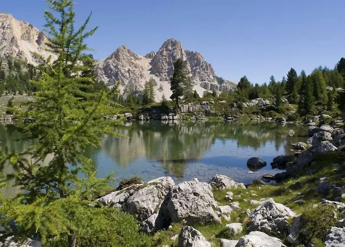 Bio Alpine Gran Foda