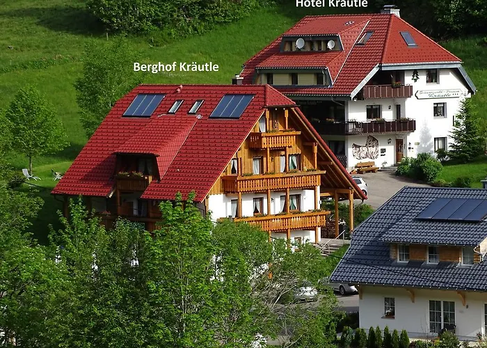 Schwarzwald Aparthotel Kräutle