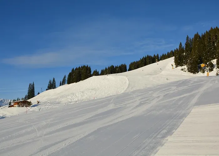 Wallegg Lodge - Alpine Premium - Ski In-Ski Out - Real Alpine Location