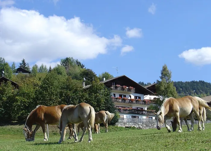 Haus Hafner