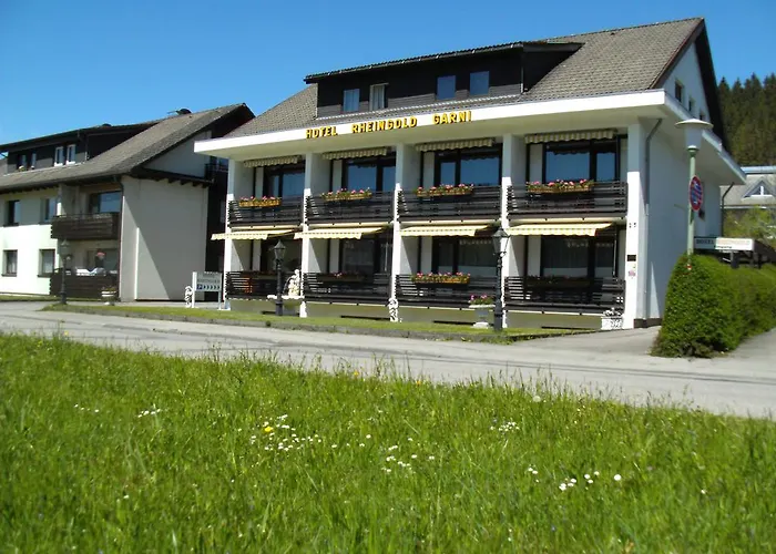 Hotel Rheingold Garni
