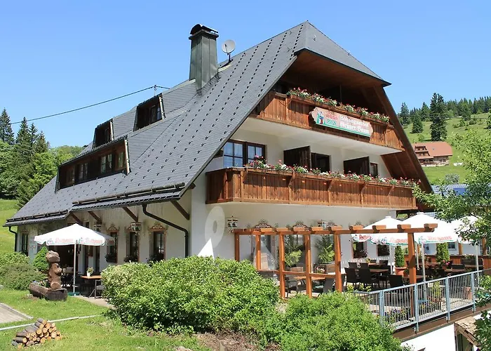 Hotel&Restaurant Grüner Baum - Die Grüne Oase Am Feldberg