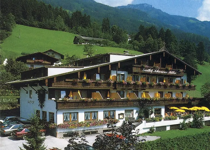  Schwarzer Adler