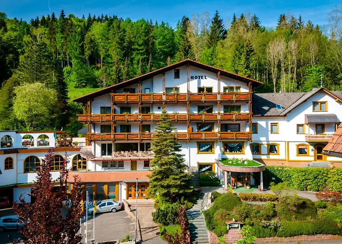 Jacuzzi-Hotel: Holzschuh Schwarzwaldhotel