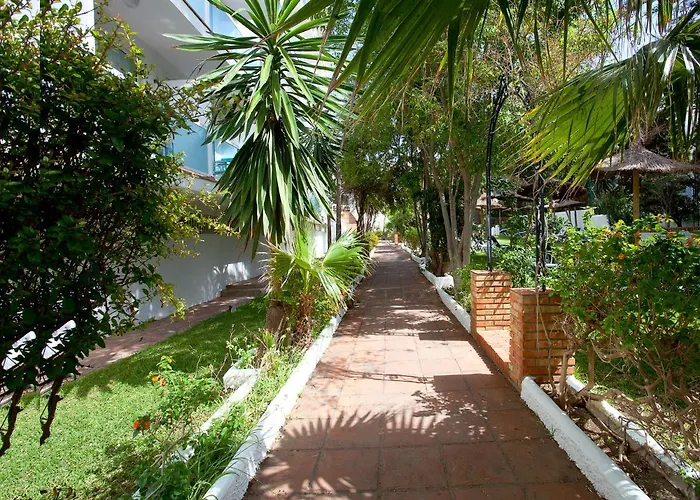 Hotel: Hotel Palia Las Palomas